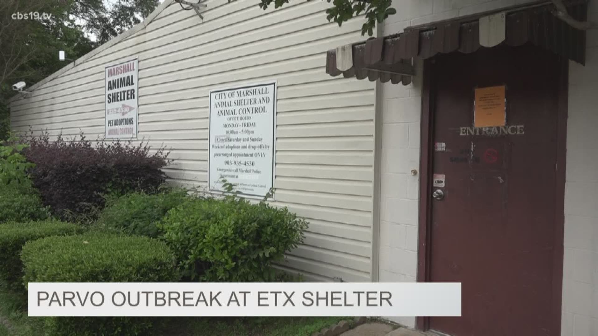 Marshall Shelter closes due to Parvo Outbreak 