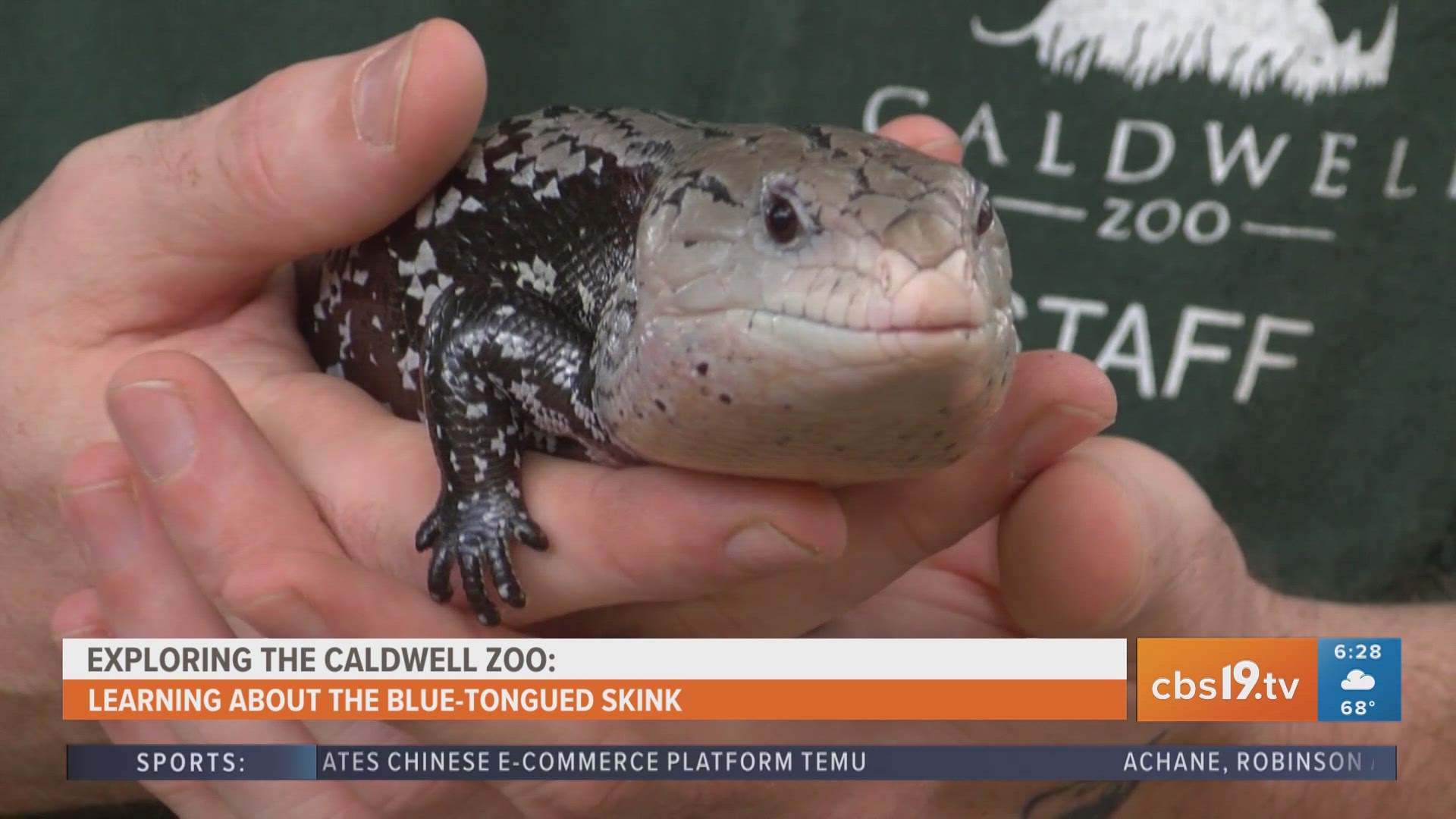 For more behind-the-scenes zoo content, watch CBS19 on Fridays during Morning Y'all for the weekly segment, Exploring the Caldwell Zoo.