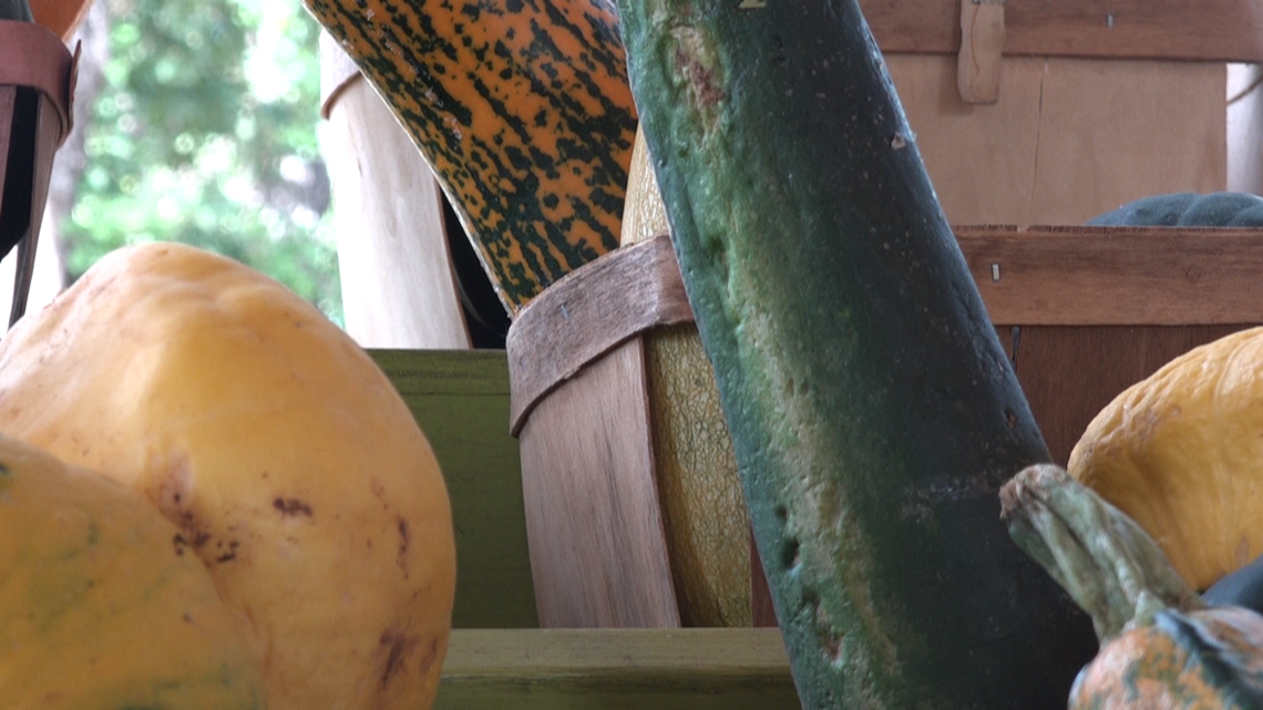 East Texas farmers facing major setbacks - Vimarsana News
