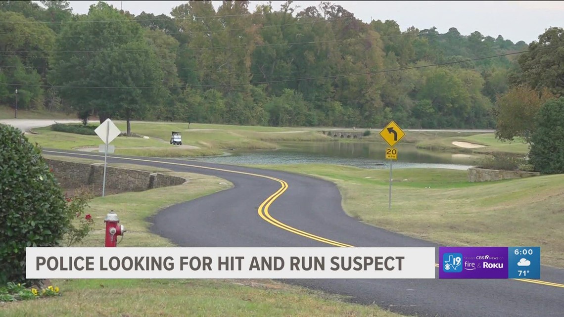 Teen charged in connection with hit-and-run wreck near The Cascades in Tyler - Vimarsana News