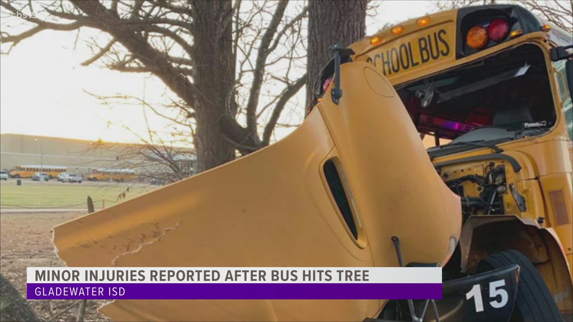 Injuries reported after Gladewater ISD bus hits tree cbs19 tv