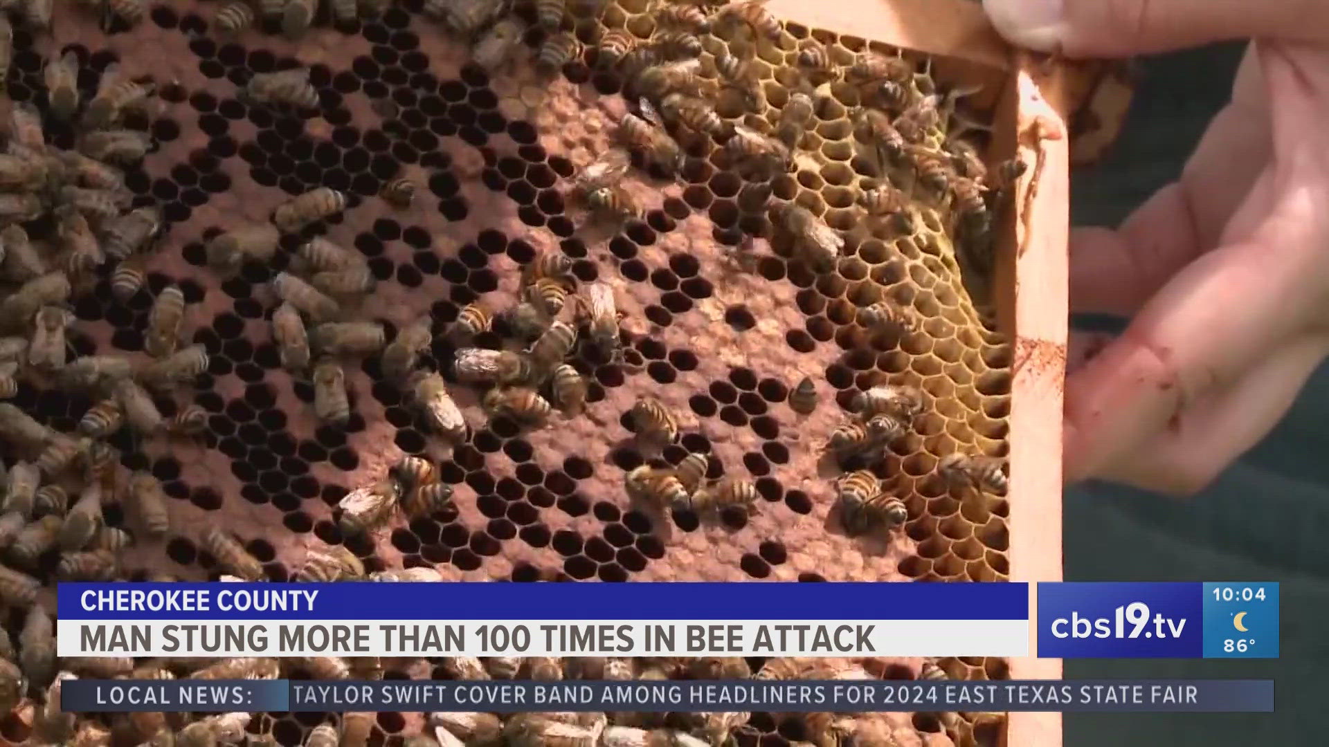 To prevent getting stung, Garett Slater, an apiculture extension entomologist, suggested being observant and to keep an eye out for potential hazards.