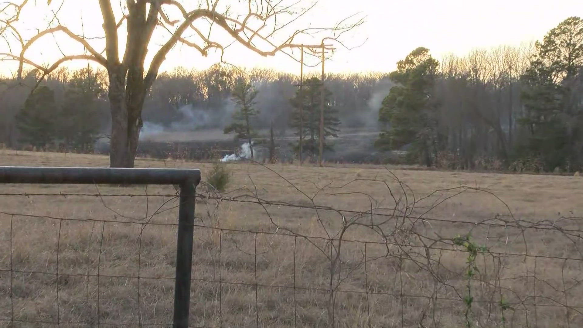 Texas A&M Forest Service deploys resources to combat Smith County ...