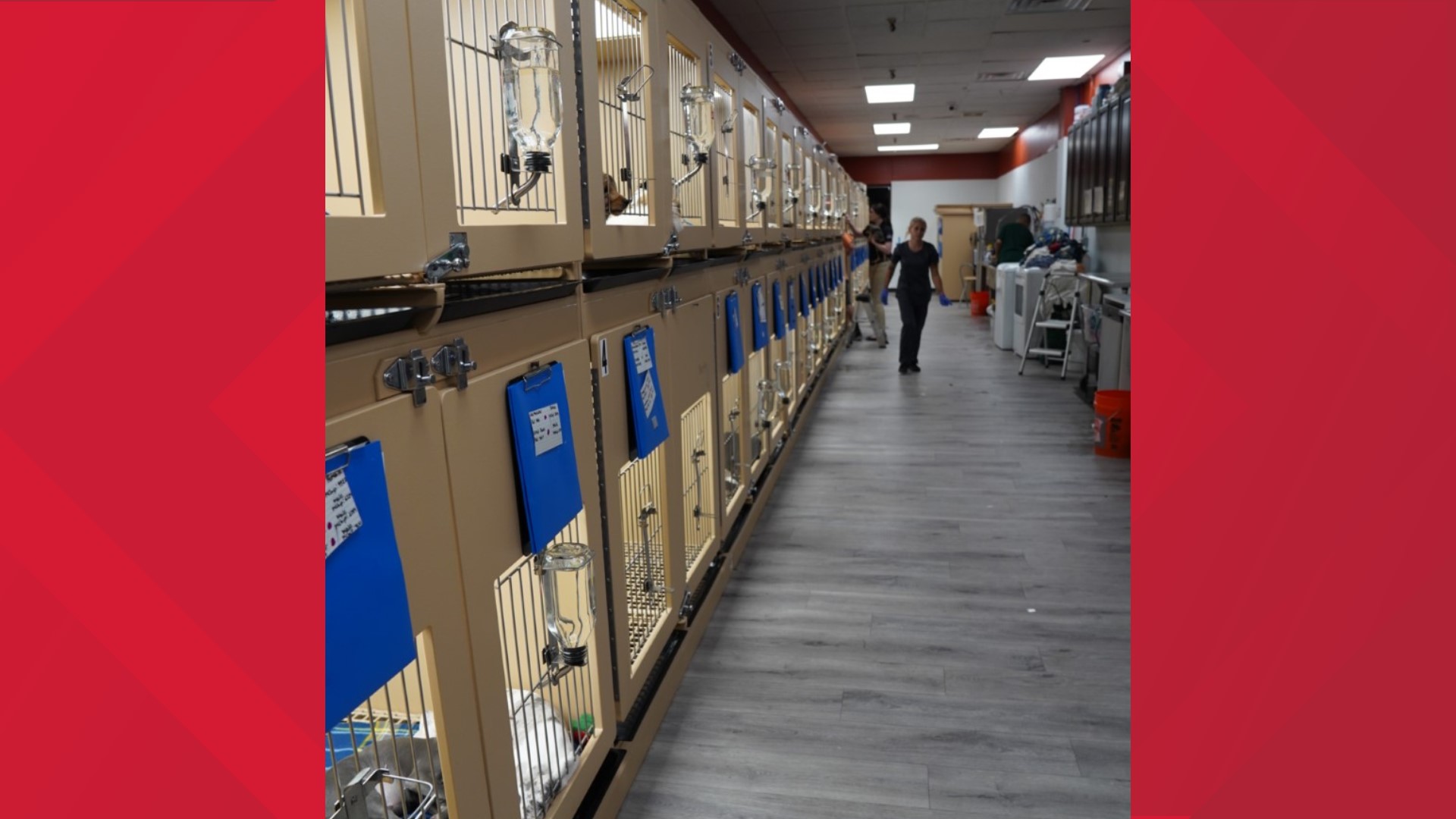 CHANGES UNDERWAY Petland Tyler under new management cbs19.tv