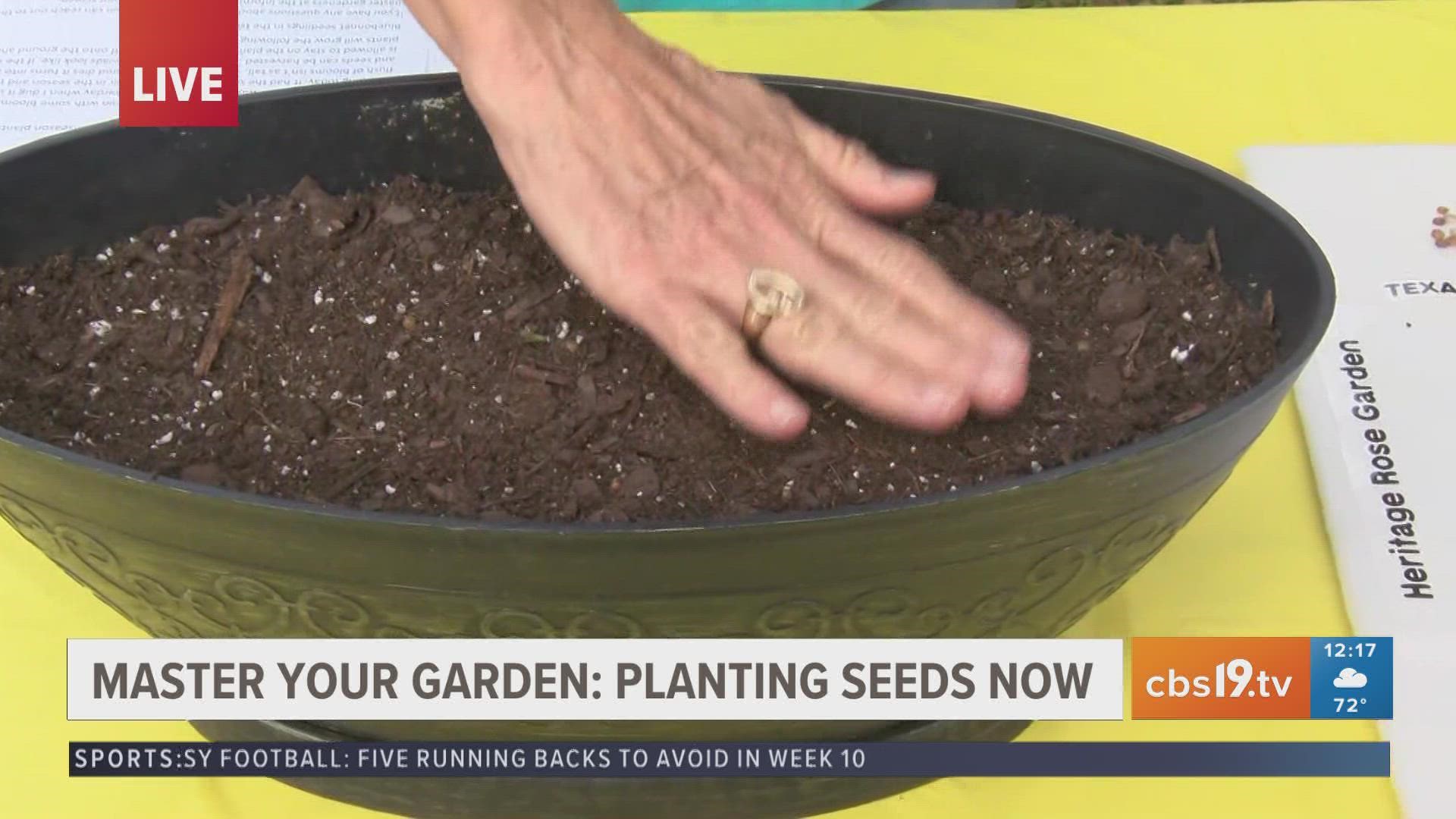 Smith County Master Garden explains what seeds to plant now and how to properly spread them on to the soil