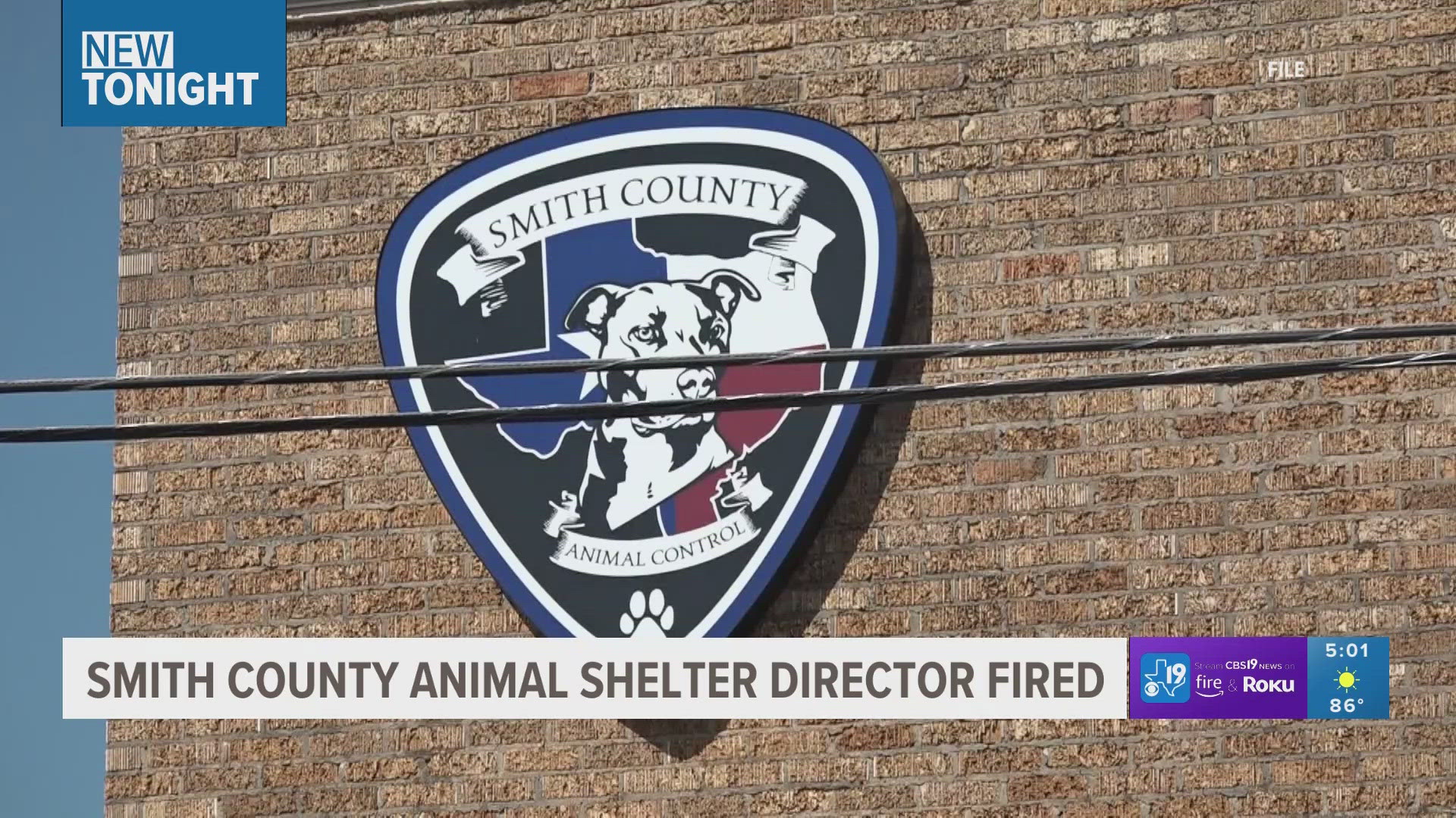 Smith County Animal Shelter director fired after allowing