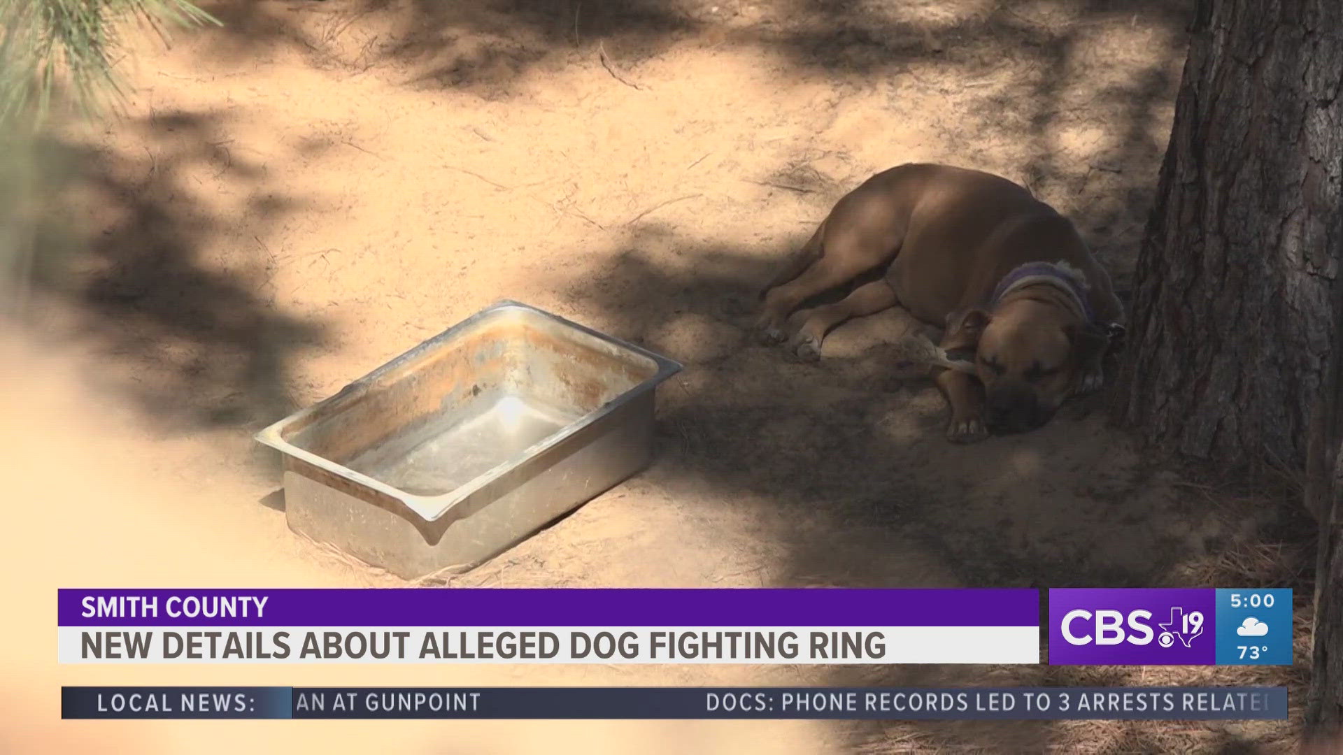 The address had been under investigation for past reports of a possible dog fighting ring, but could not find any dogs or evidence on the property before Monday.