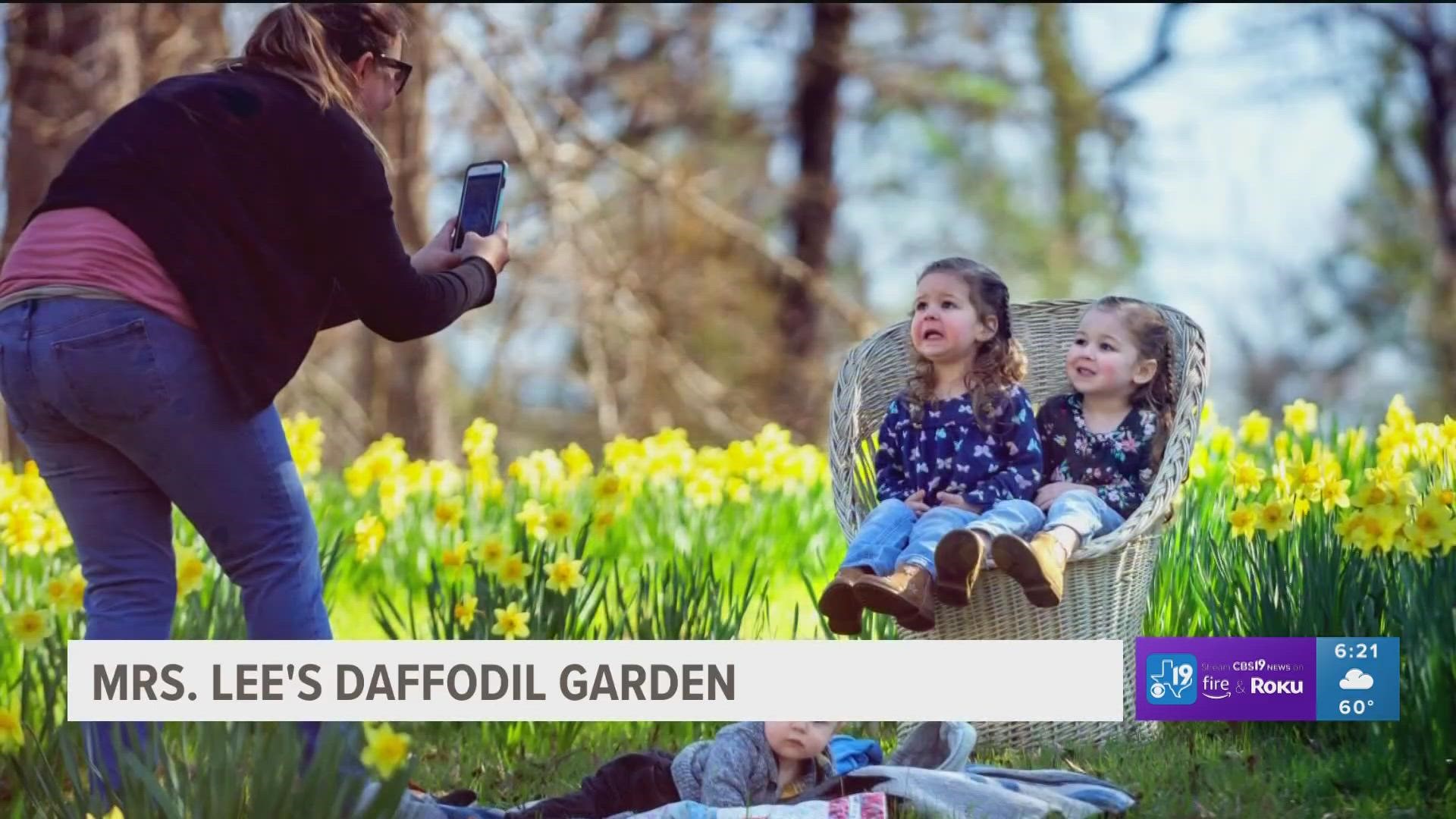 Unilever dry shampoo recall Dove, Bed Head, Suave on 2022 list cbs19.tv