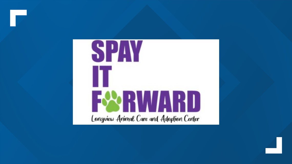 Longview's 'Spray it Forward' initiative celebrates success - Vimarsana News