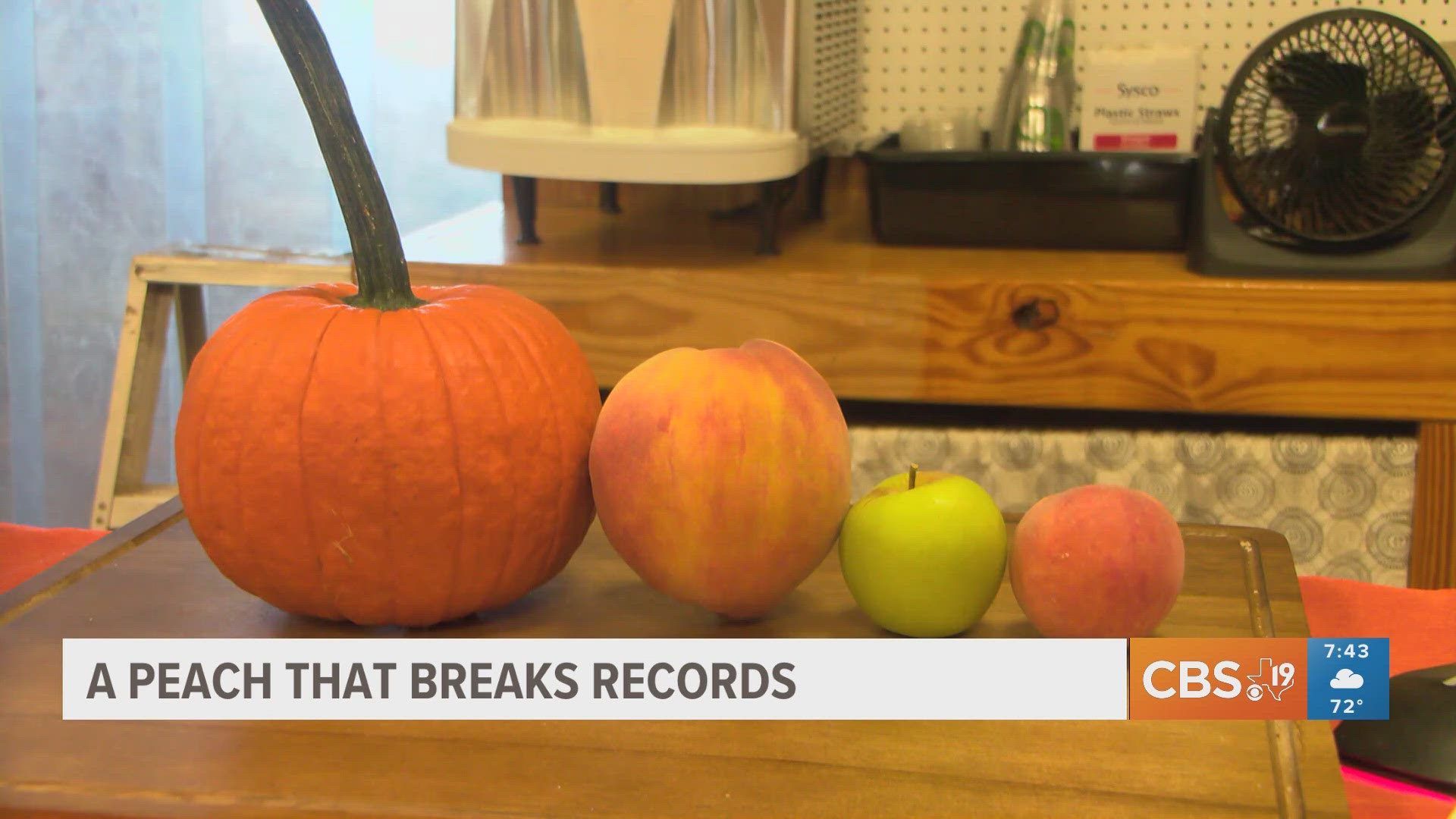 Orchard grows recordbreaking peach cbs19.tv