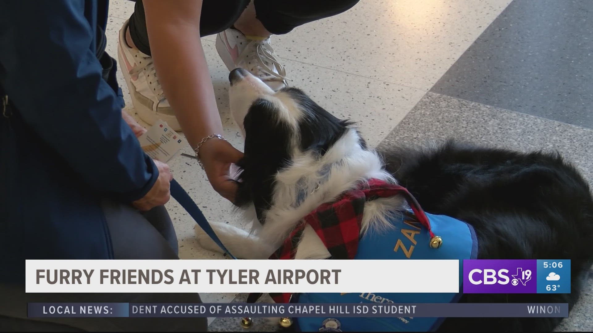 Therapet dogs greet Tyler airport travelers to spread cheer during holiday season