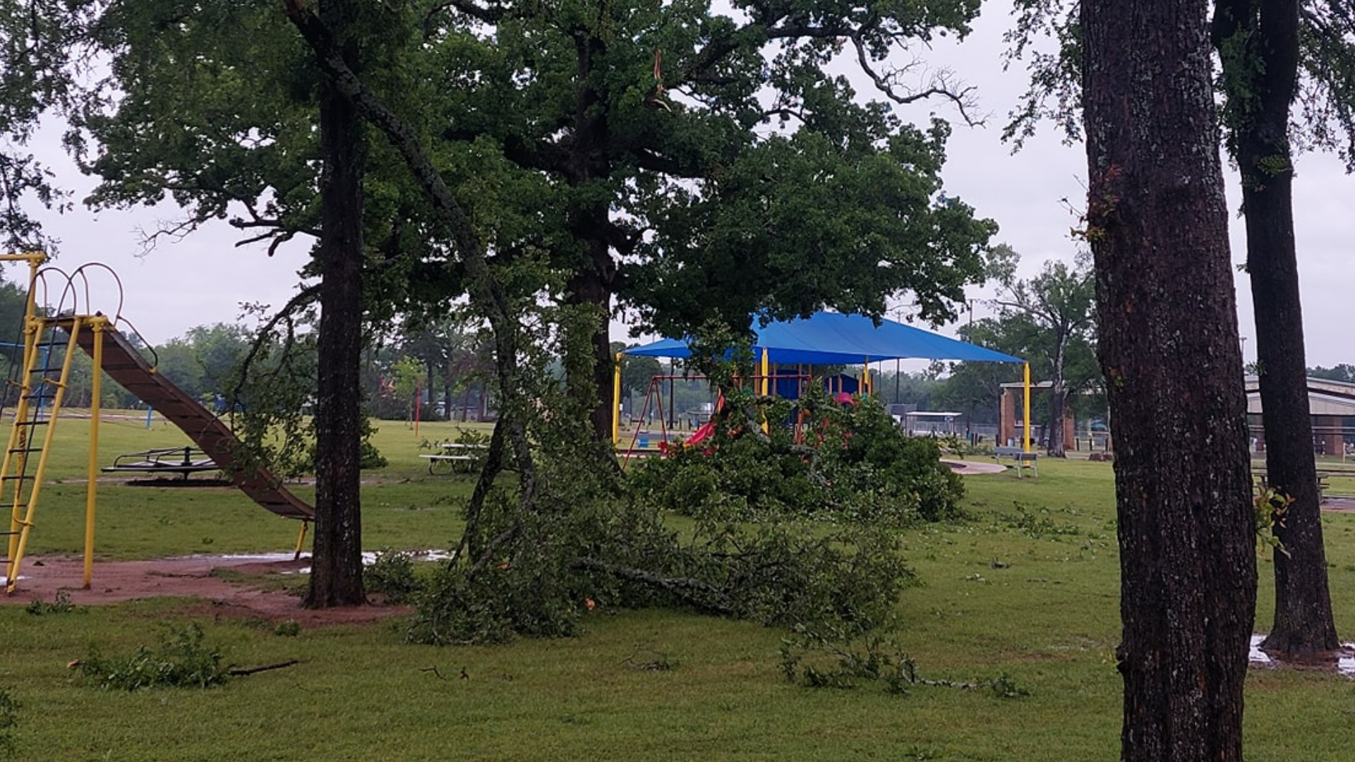 Crockett sees major weather damage, power outages, school closure
