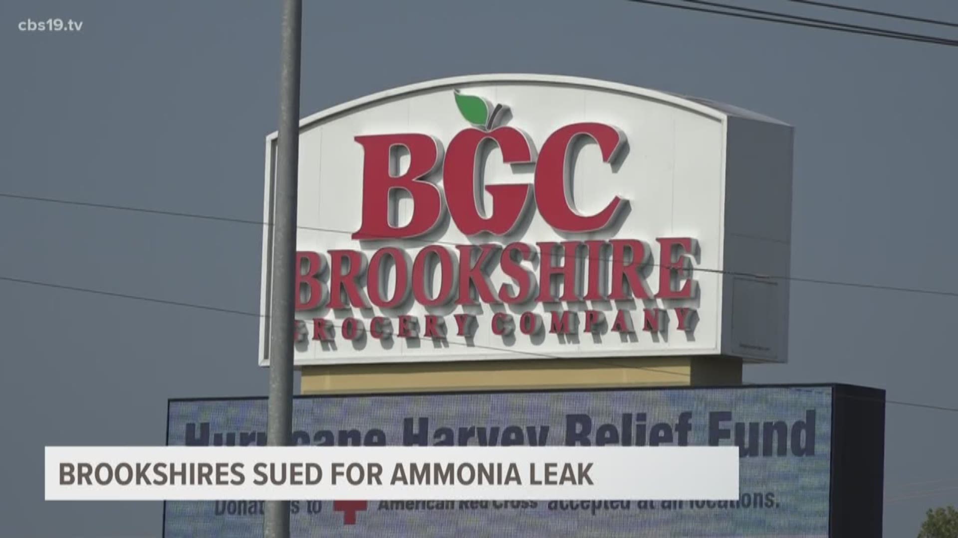 Brookshire sued for ammonia leak
