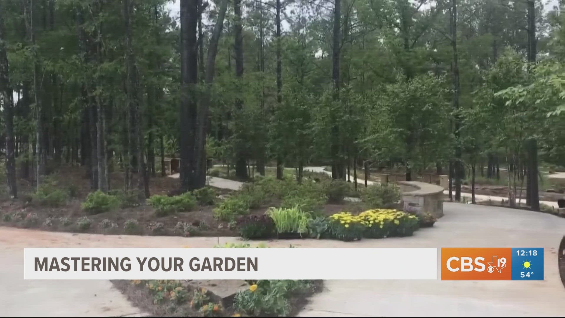 Join CBS19 and the Smith County Master Gardeners Thursdays on The Noon Show.