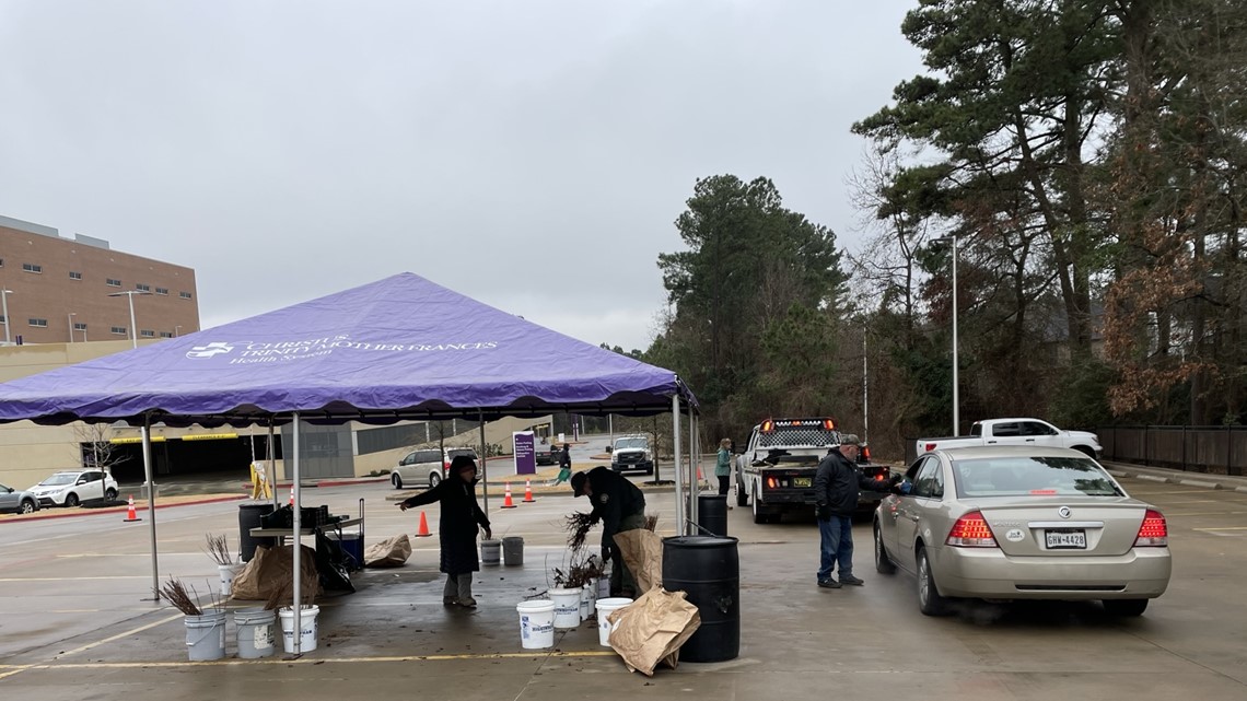 Christus Mother Frances honored for using trees to better health cbs19.tv