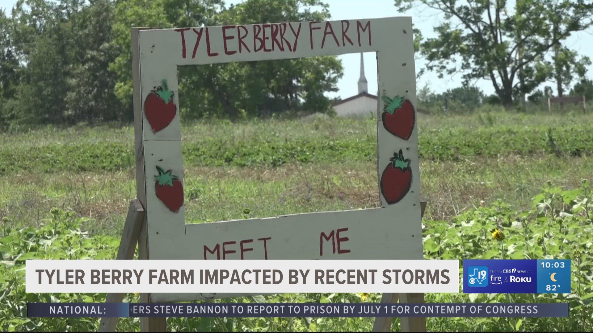 East Texas berry farm reopens to public after storm damage | cbs19.tv