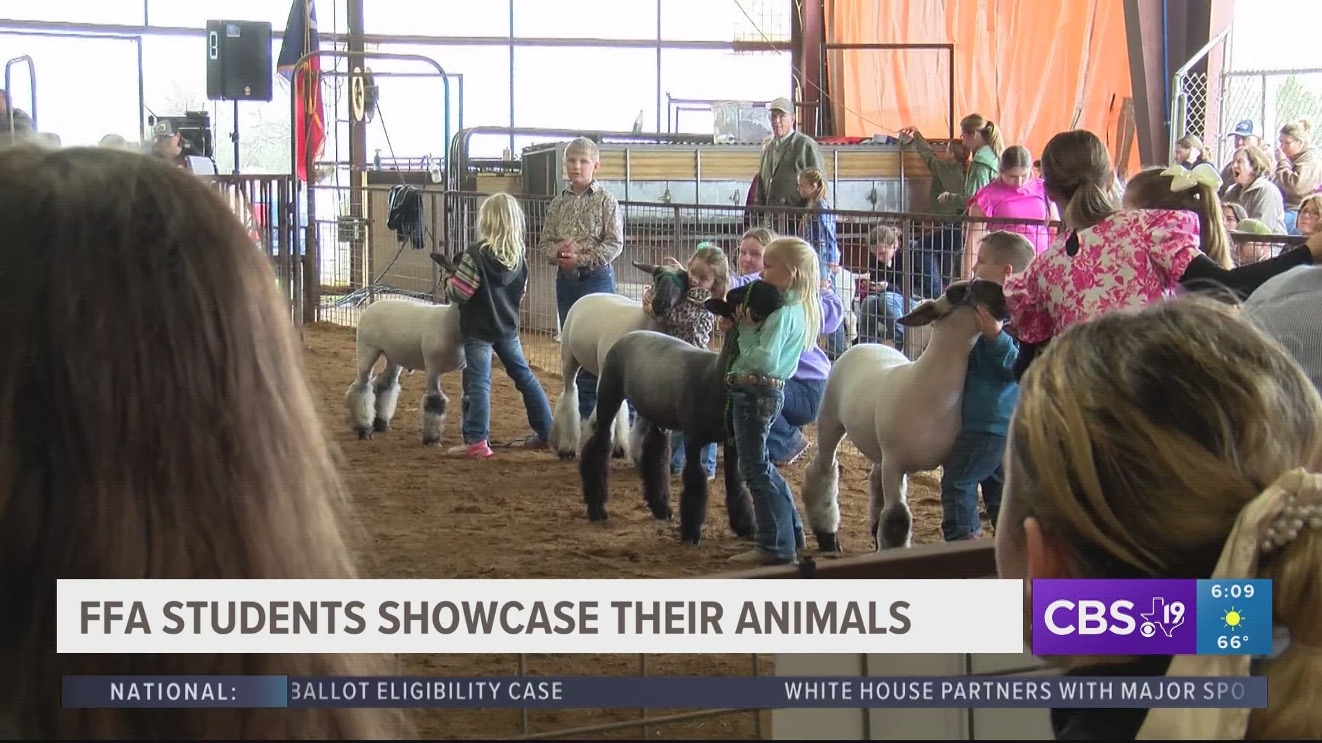 FFA students showcase their animals at Smith County Youth Expo