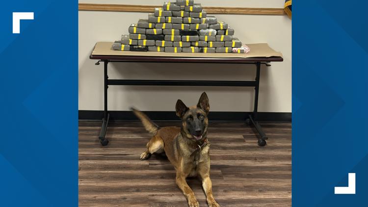 Nacogdoches County K-9 finds 46 kilograms cocaine in SUV trunk, leading ...