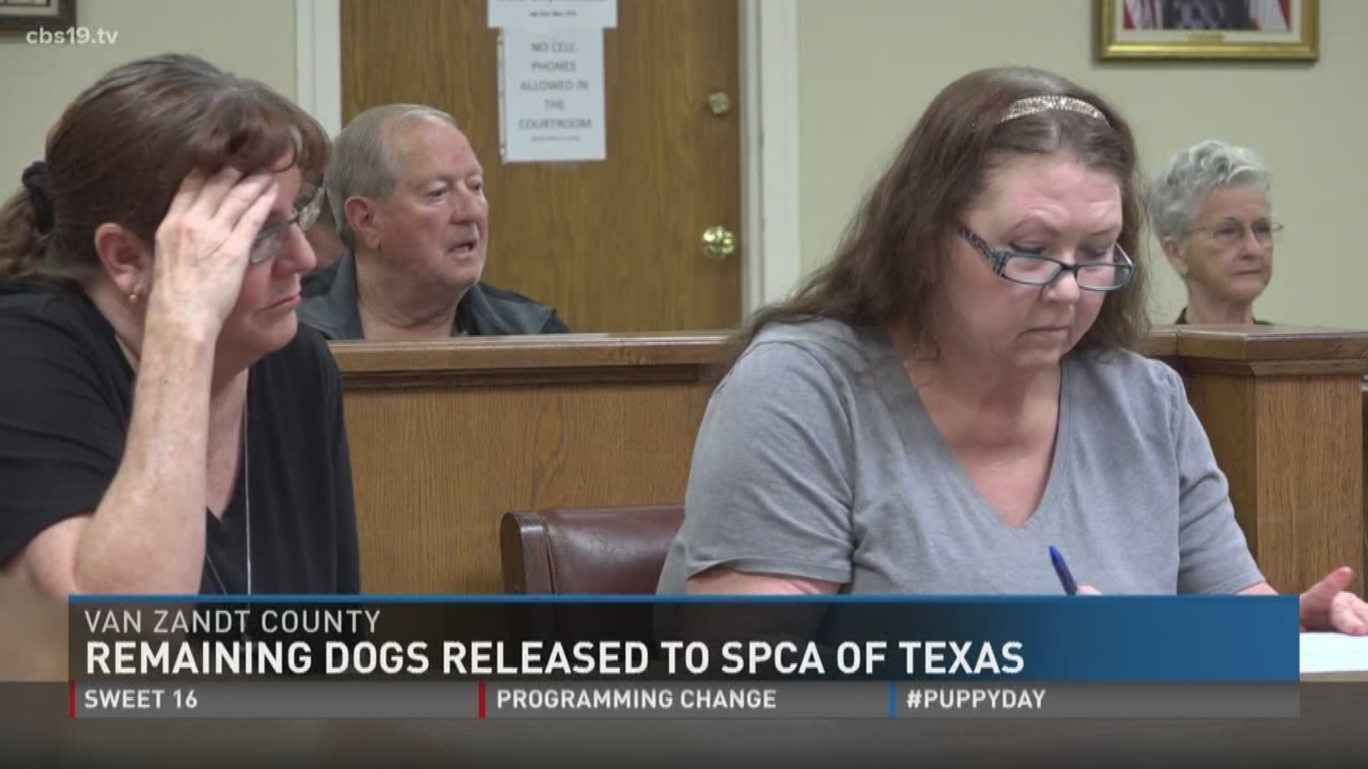 SPCA of Texas receive custody of alleged puppy mill dogs.