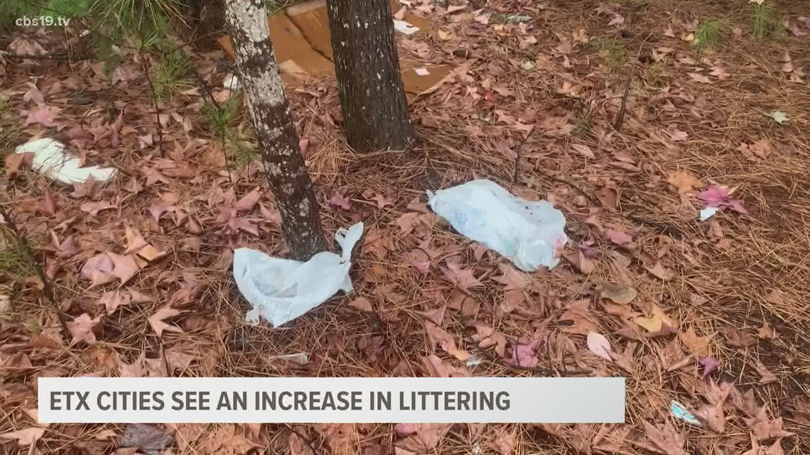 It Costs Over $11 Billion Per Year To Clean Up Litter — How the Pandemic's  Effect on Trash Output May Make This Worse