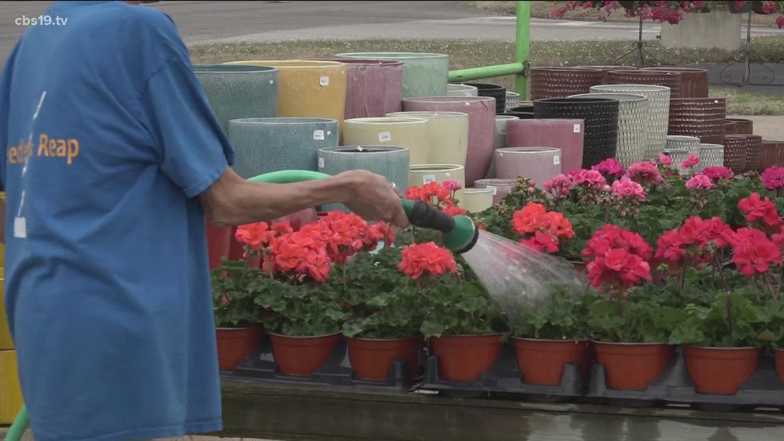 East Texas plant enthusiasts prepare for spring - Vimarsana News