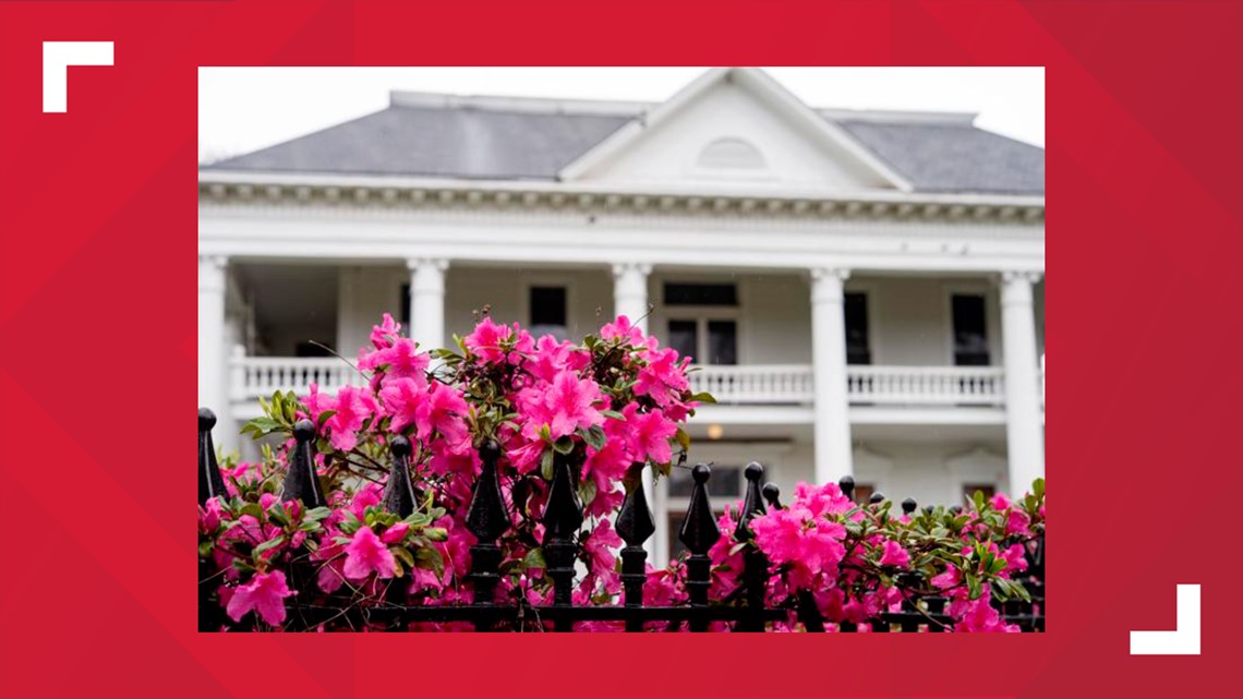 Local events happening in Tyler this weekend - Vimarsana News