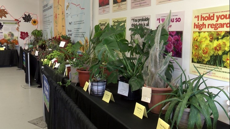 MASTERING YOUR GARDEN: Meet pro gardeners at the East Texas State Fair