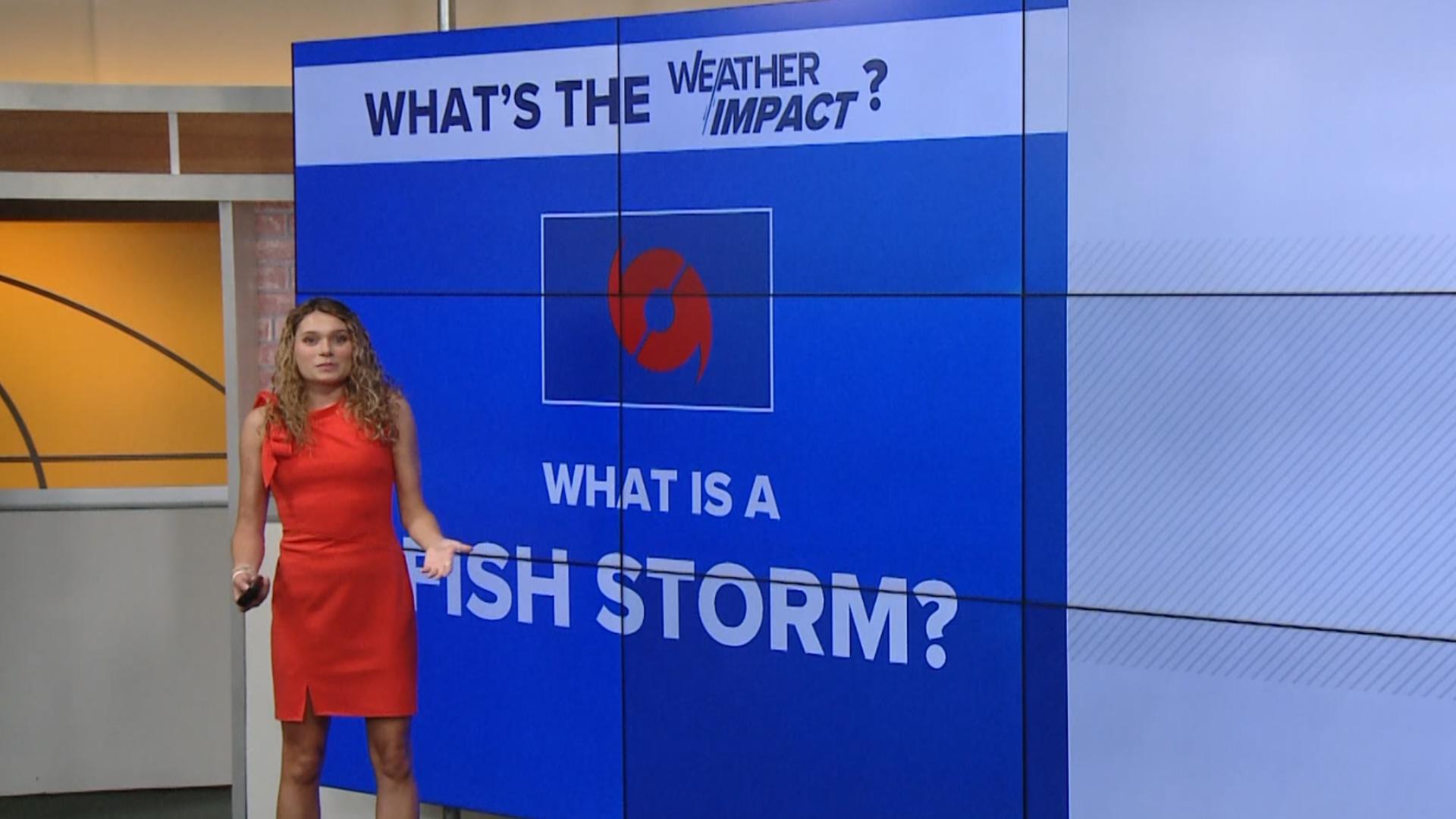 If you've ever heard a meteorologist call a storm a 'fish storm' and wondered what that meant, let us explain!