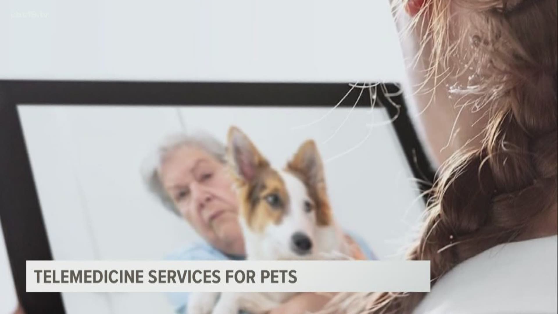 Renee Smith at Lindale Veterinary Clinic says telemedicine has become a convenient way for owners to connect with veterinarians about their pet's health.