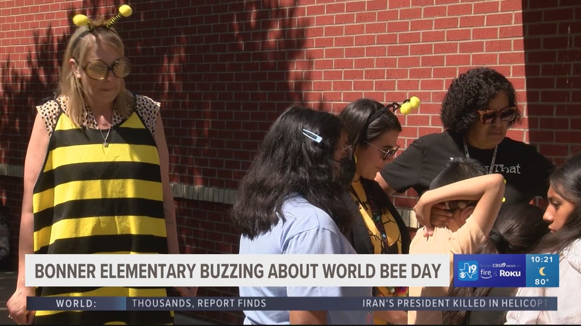 Elementary students learn about importance of bees | cbs19.tv