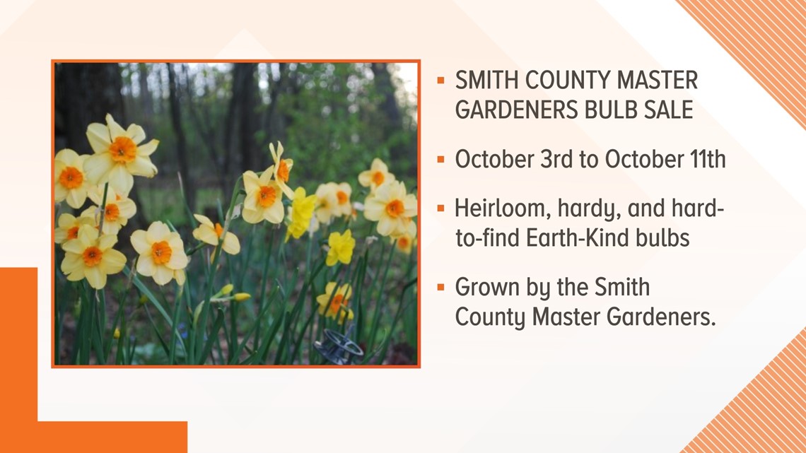 Smith County Master Gardener's Fall bulbs sale starts October 3 - Vimarsana News