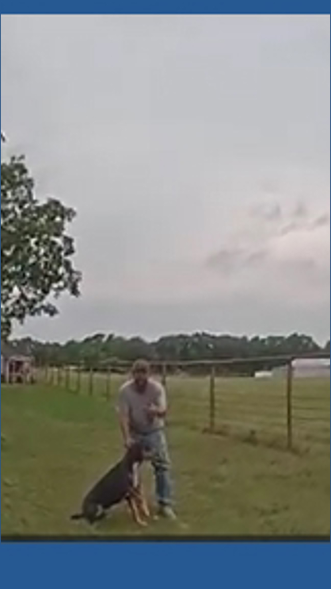 Arp police officer shoots dog while investigating possible fire, chief ...