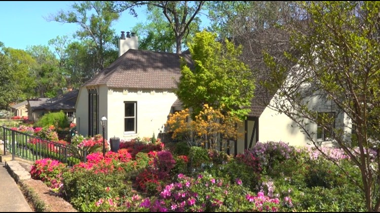 ENTER HERE: CBS19's Yard of the Month Contest