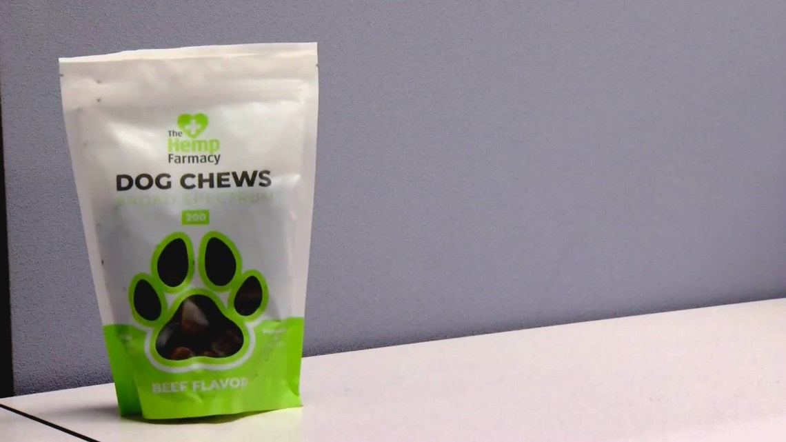 CBD boom extends to pets as researchers study effects on dog aggression