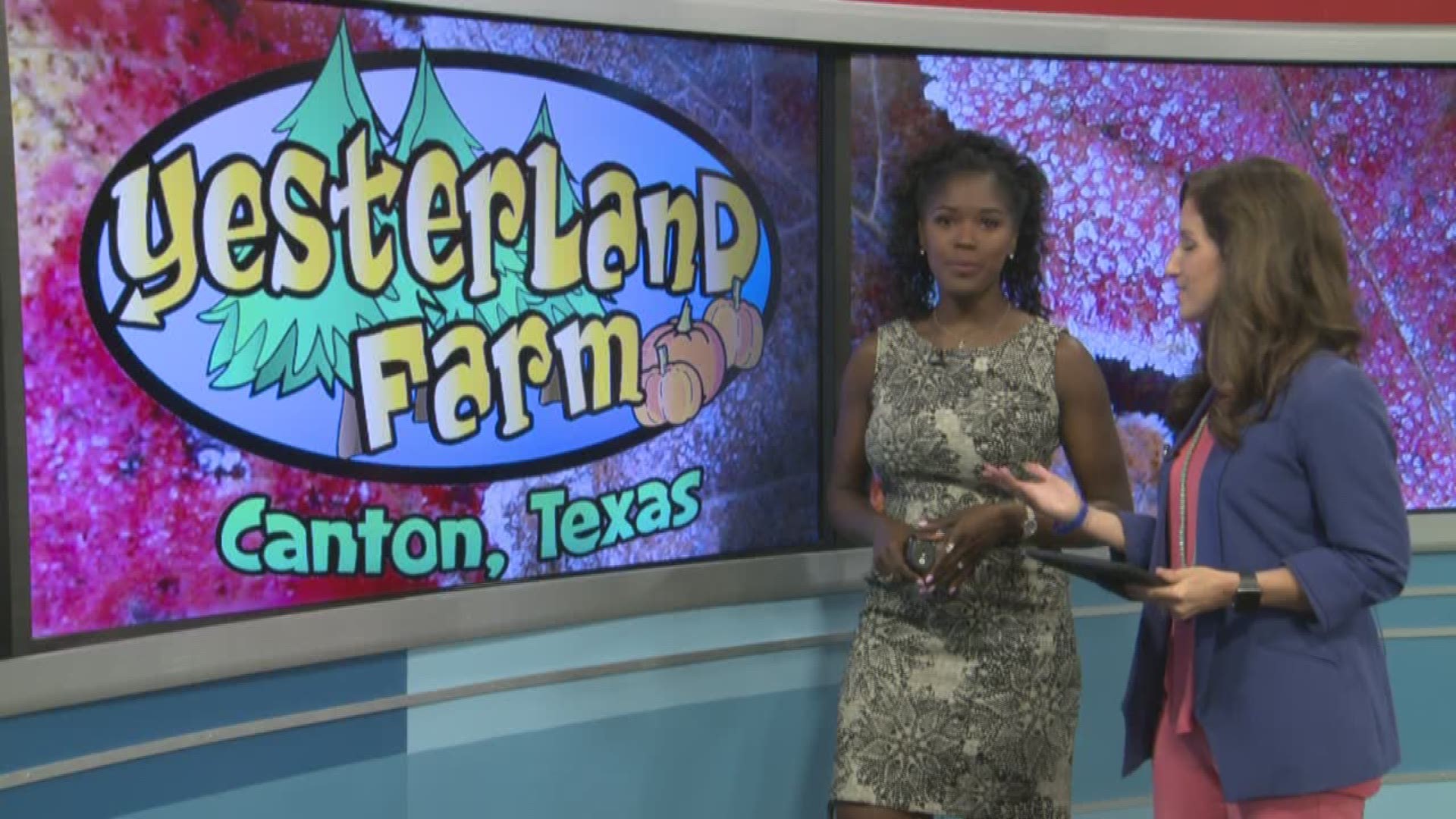 Yesterland Farm to reopen to the public after the April tornadoes.