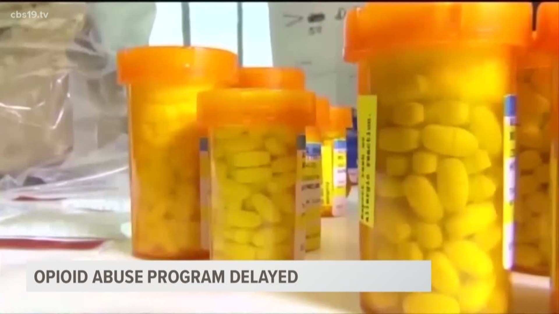 The program is delayed to allow more time for physicians to comply with the database.