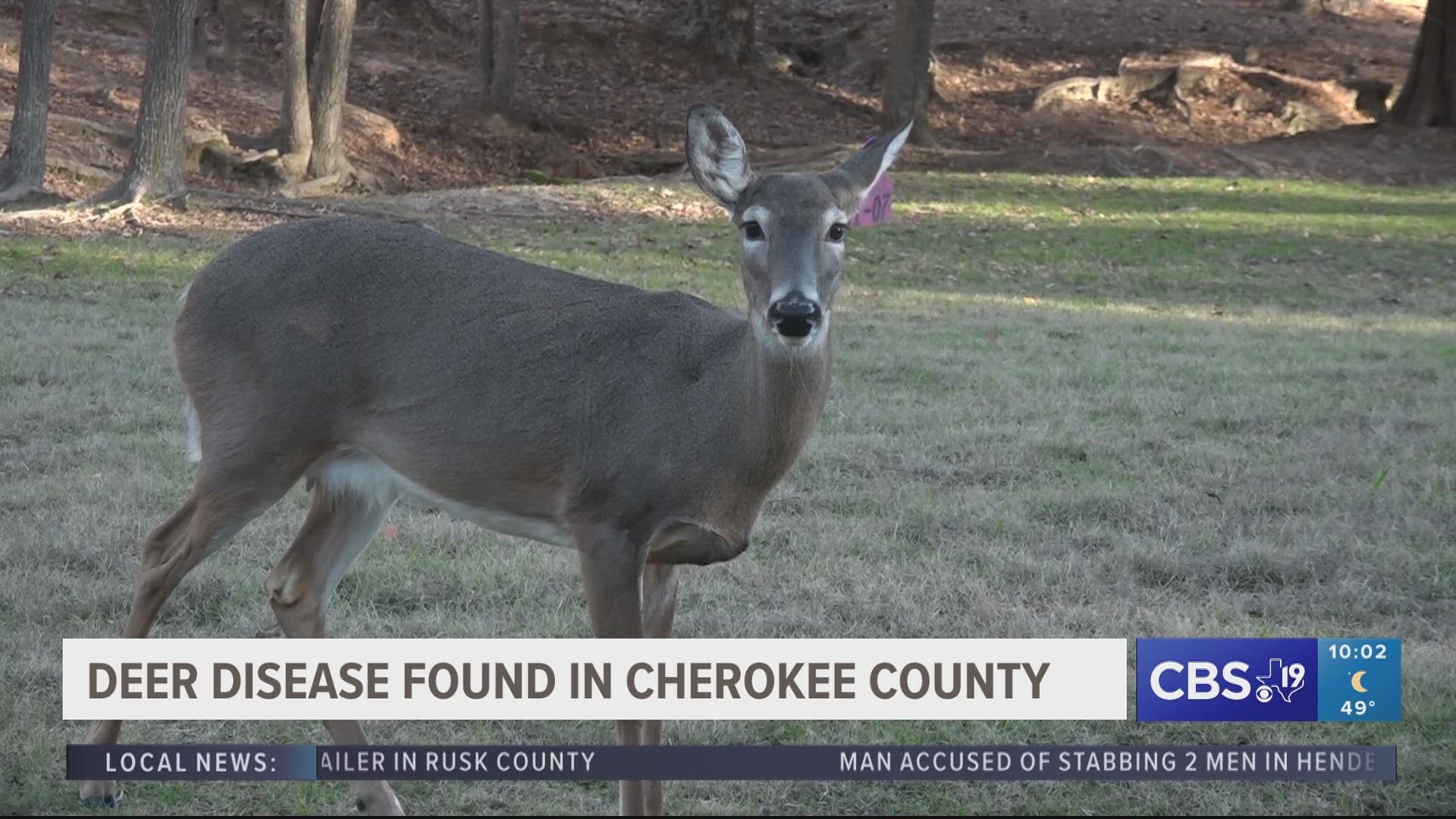 The Texas Parks & Wildlife Department hosted a town hall as an outreach to test deer in the surrounding area for chronic wasting disease.