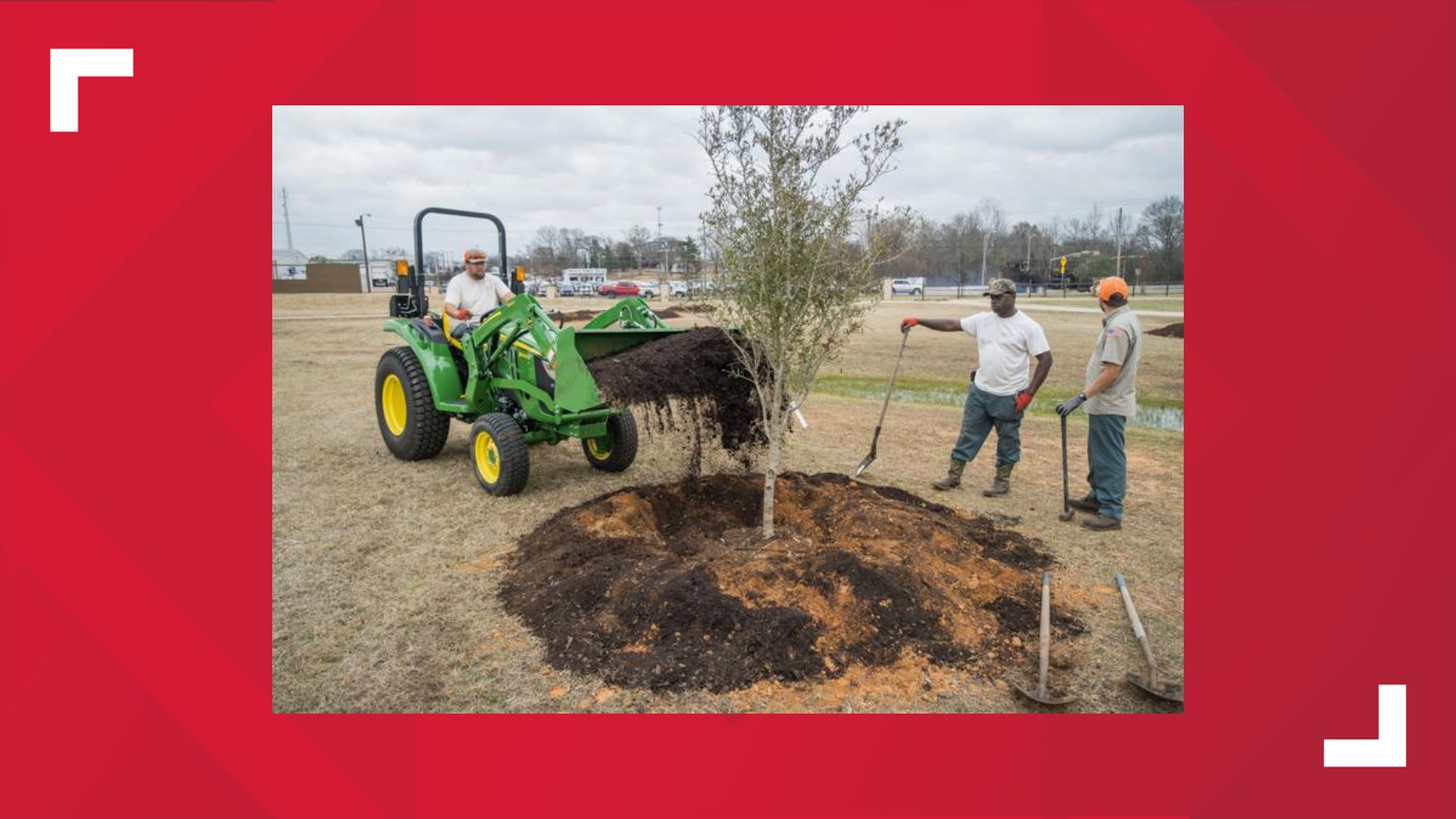 Keep Longview Beautiful grant used towards planting trees cbs19.tv