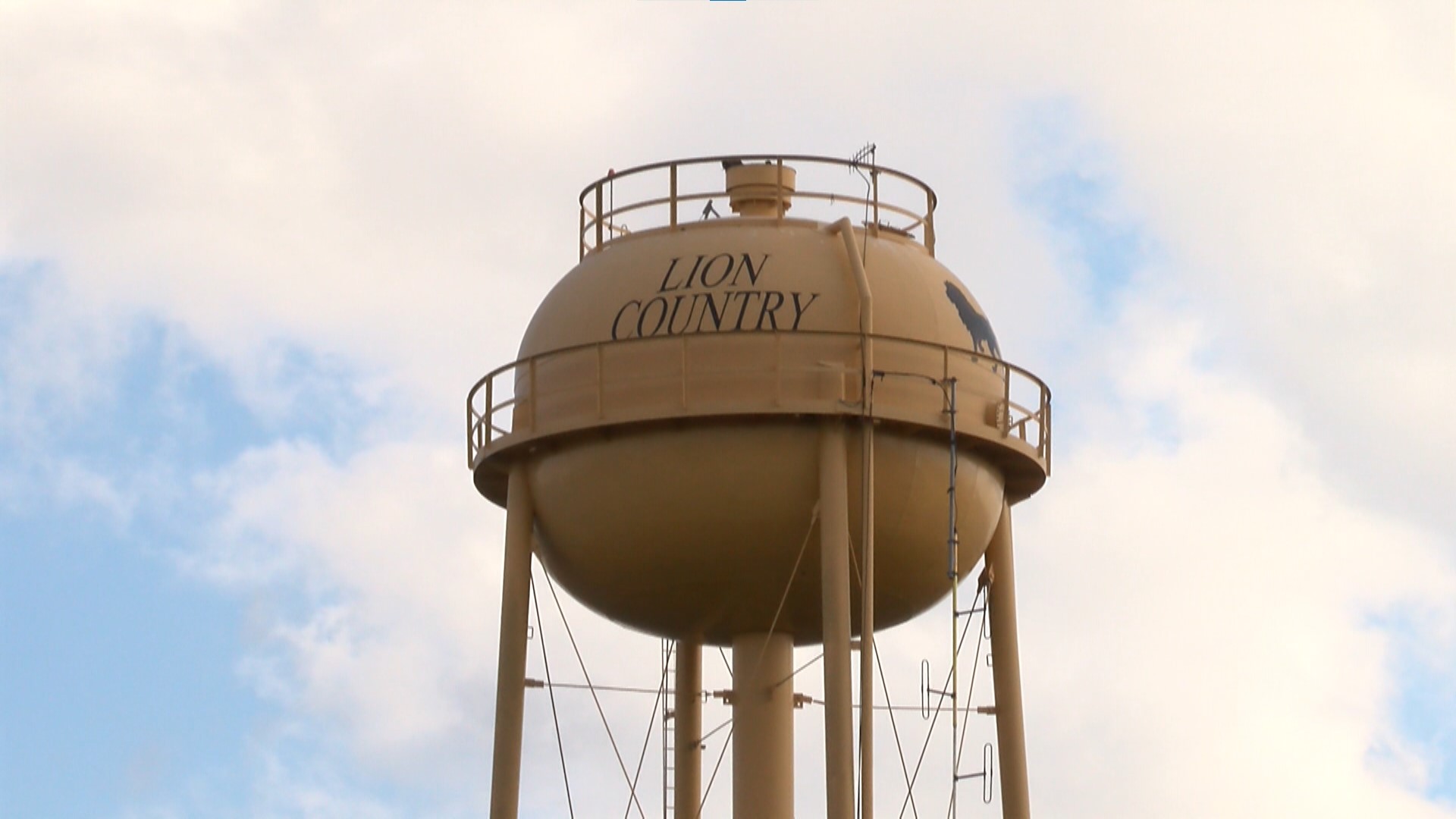 Palestine man charged with capital murder in death of infant boy | cbs19.tv