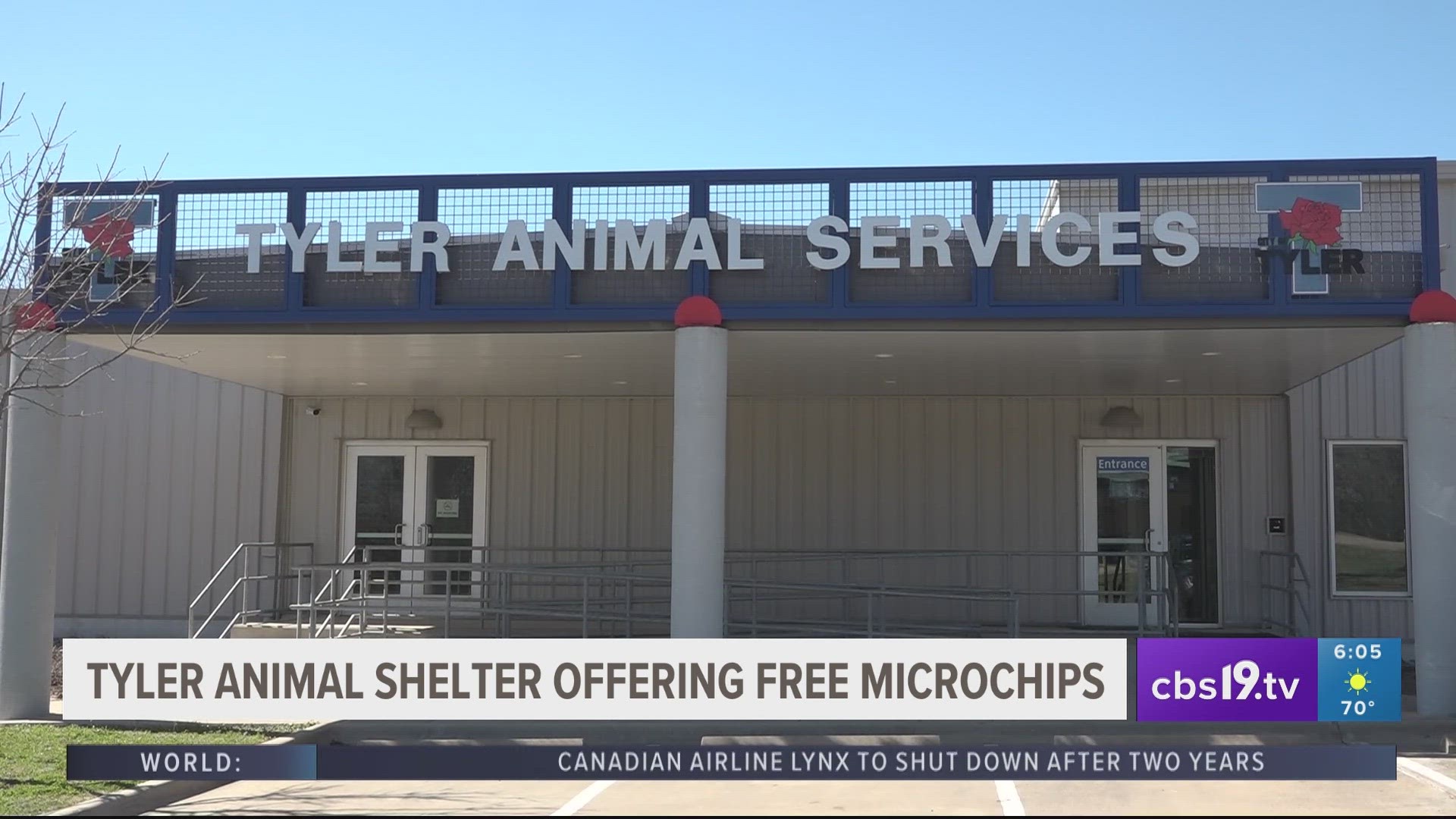 Tyler Animal Shelter offering 1,000 free microchips to all pets
