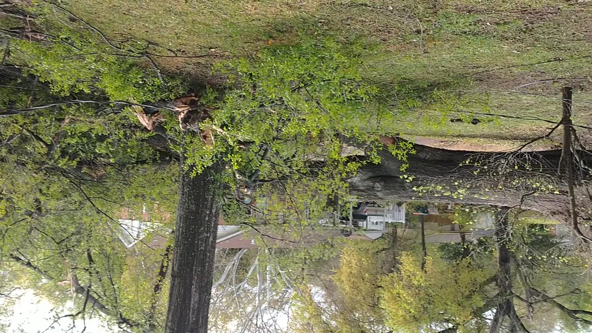 East Texans are cleaning up after storms hammered the region overnight.