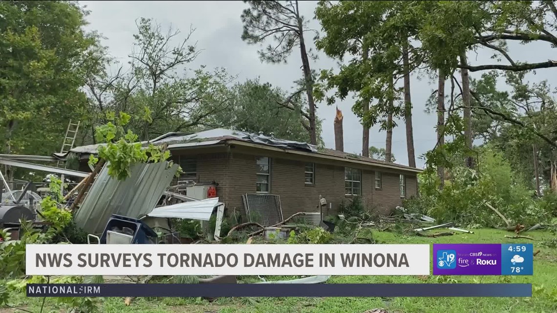 EF1 tornado strikes Winona - Vimarsana News