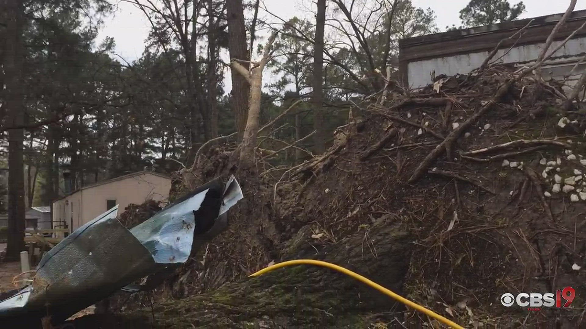 A father was killed when this huge tree crashed into the mobile home during the storm overnight.