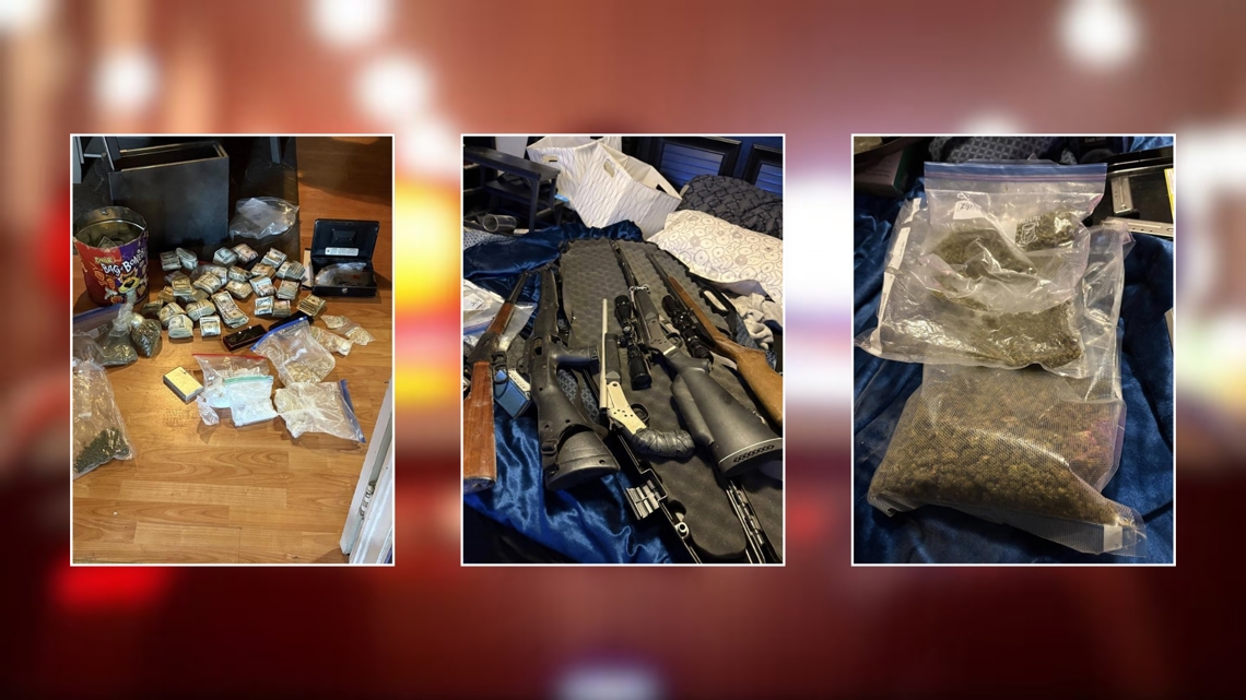 Police seize 31 guns, drugs and several thousand dollars in cash in Houston County raid