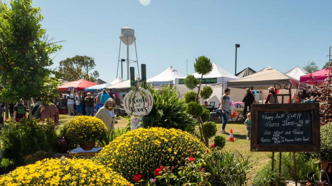 CountryFest attracts thousands to downtown Lindale with carnival games