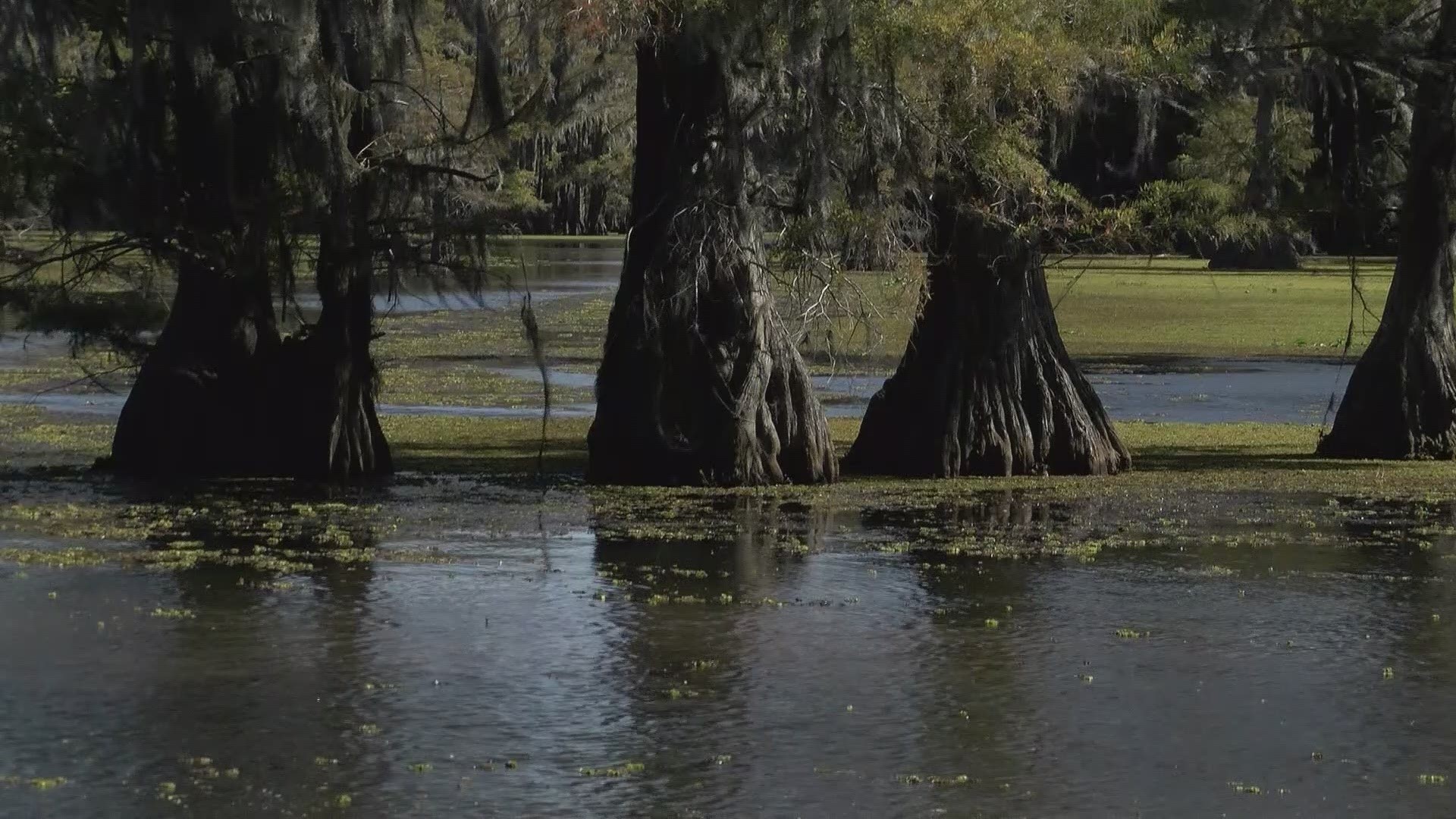 With a population of less than 100 people, it's places like Caddo Lake that draw thousands of tourists to the city every year.