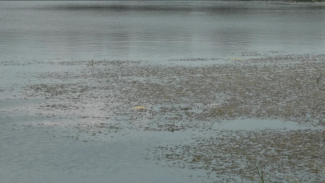 Experts warn of deadly amoeba found in warm waters during the summertime