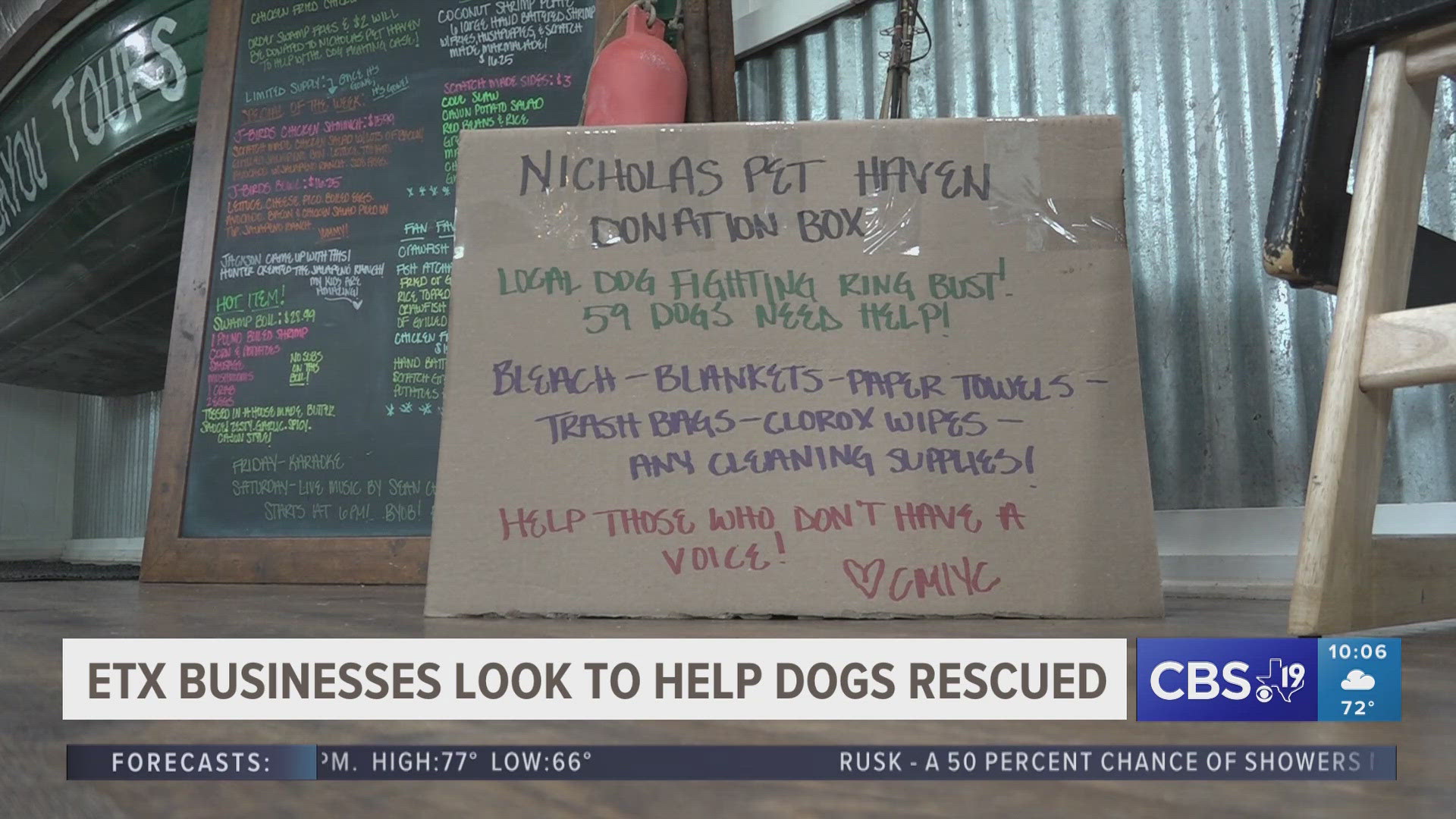 East Texas businesses raising money to help dogs rescued from fighting ring