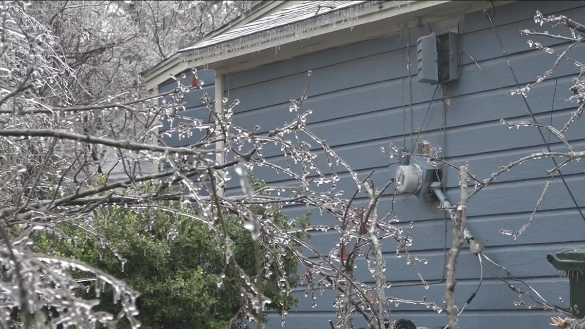 Collapsing trees cause power outages across ETX