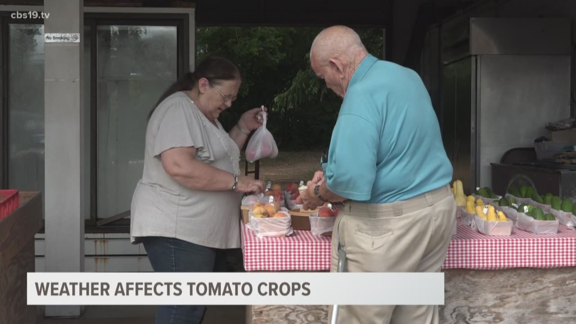 34th annual Jacksonville Tomato Fest